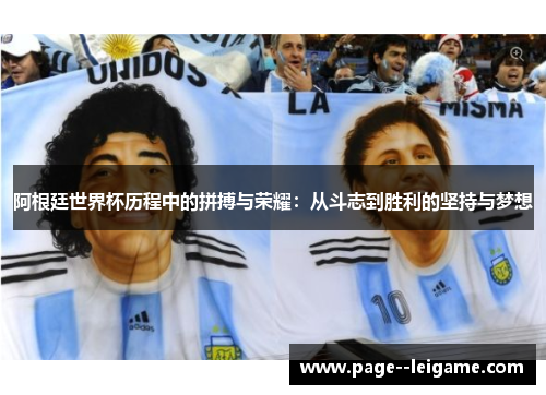 阿根廷世界杯历程中的拼搏与荣耀：从斗志到胜利的坚持与梦想