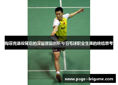 陶菲克退役背后的深层原因剖析与羽毛球职业生涯的终结思考