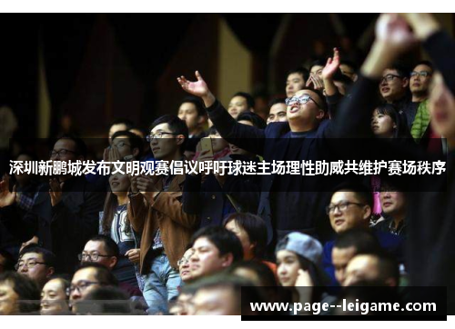 深圳新鹏城发布文明观赛倡议呼吁球迷主场理性助威共维护赛场秩序