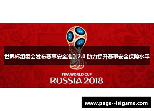 世界杯组委会发布赛事安全准则2.0 助力提升赛事安全保障水平