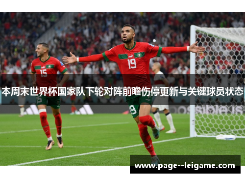 本周末世界杯国家队下轮对阵前瞻伤停更新与关键球员状态 本周末世界杯国家队下轮对阵前瞻伤停更新与关键球员状态