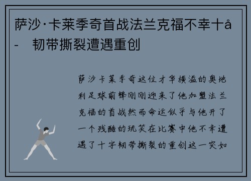 萨沙·卡莱季奇首战法兰克福不幸十字韧带撕裂遭遇重创